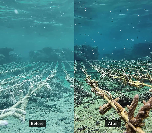 Comparison of photos before and after using Ocean Mode